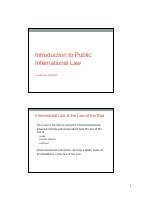 Introduction to International Law.pdf